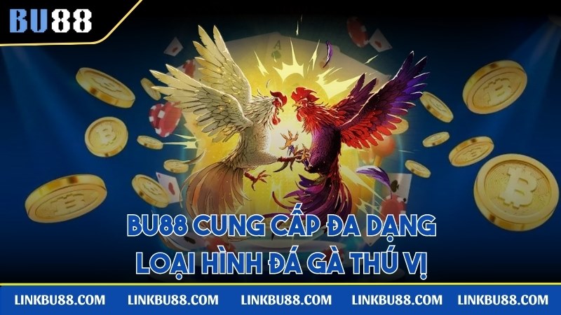 Trang web cung cấp đa dạng loại hình đá gà thú vị